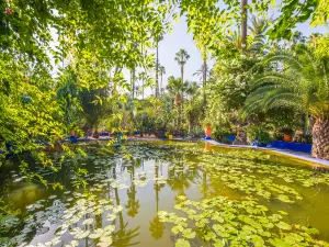 Majorelle Garten (Jardin Majorelle)