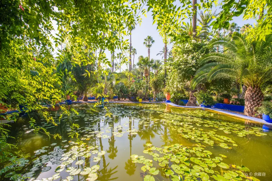 Jardin Majorelle