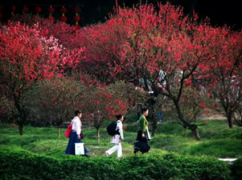 Peach Blossom Valley