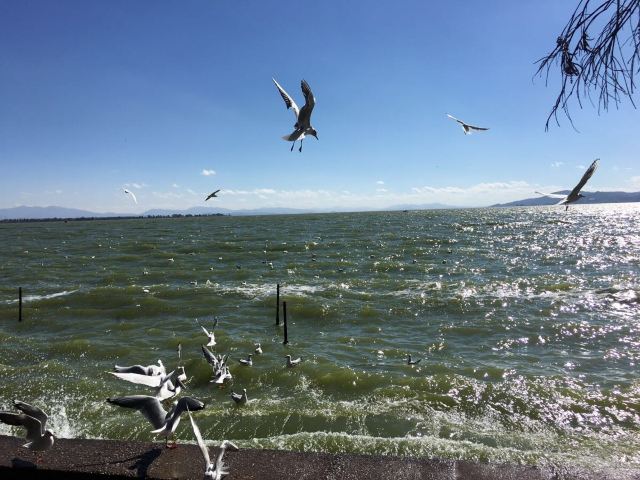 滇池