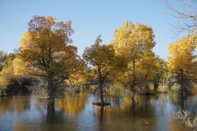 Heiheyanlin Sceneic Area