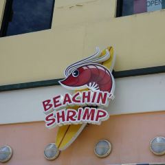 Beachin' Shrimp User Photo