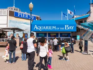 Aquarium of the Bay