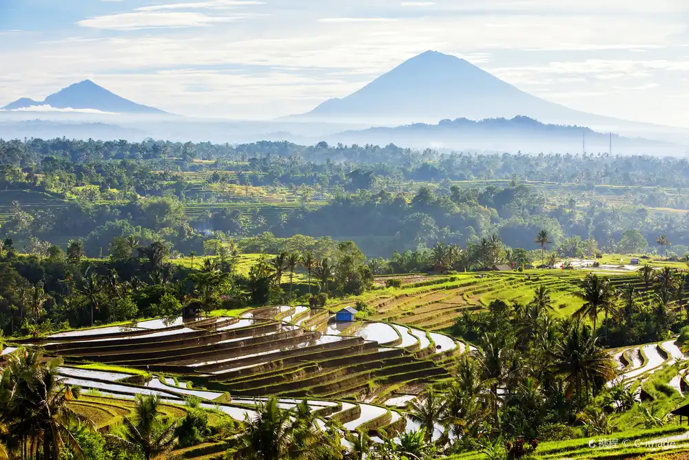 Hotel dekat Jatiluwih Rice Terraces