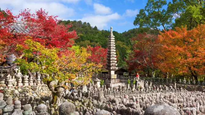 3_Adashino Nenbutsu-ji Temple