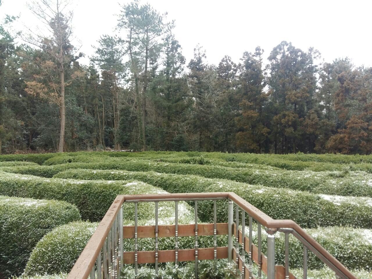 金寧迷宮公園景點評價 金寧迷宮公園門票 金寧迷宮公園優惠 金寧迷宮公園交通 地址 開放時間 金寧迷宮公園附近景點 酒店及美食 Trip Com