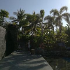 The Westin Blue Bay Resort & Spa· Five Sen5es User Photo