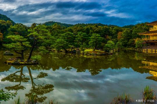 One-day tour to Kinkakuji Temple + Nekoji Temple + Kifune Shrine + Sanzen-in Temple + Nanzenji Temple in Kyoto, Japan