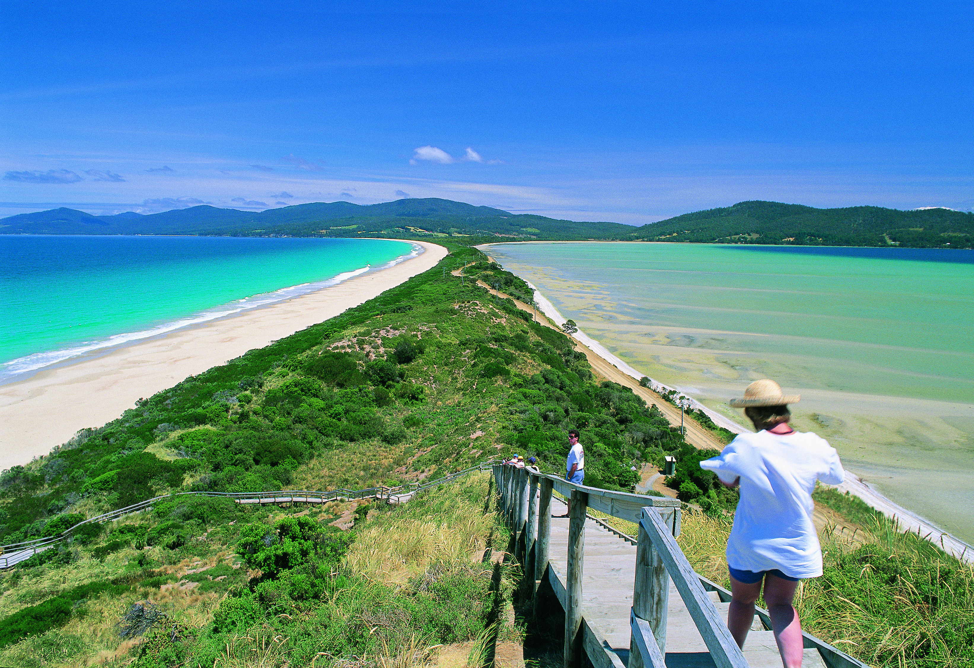 2025 Bruny Island Travel Guide: Must-see attractions, popular food, hotels, transportation routes (updated in June)