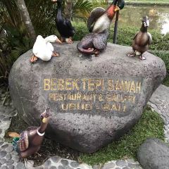 Bebek Tepi Sawah張用戶圖片