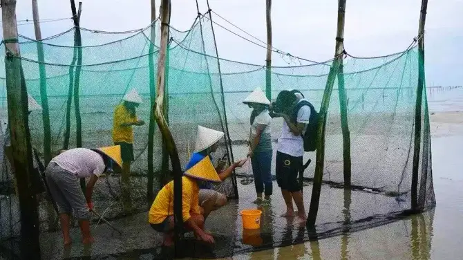 2_紅樹林天天趕海