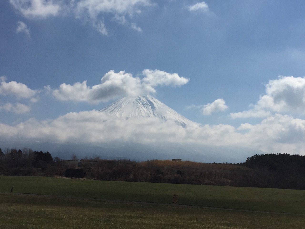 朝霧高原景點評價 朝霧高原門票 朝霧高原優惠 朝霧高原交通 地址 開放時間 朝霧高原附近景點 酒店及美食 Trip Com