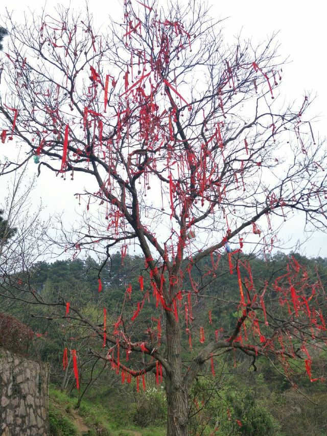 링산