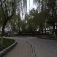 何家状馍 User Photo