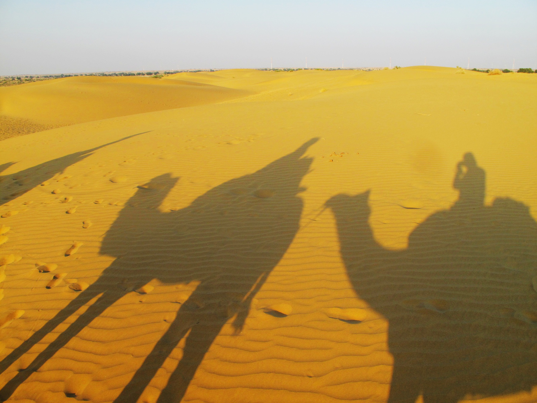 ジャイサルメール Thar Desert 評判 案内 トリップドットコム