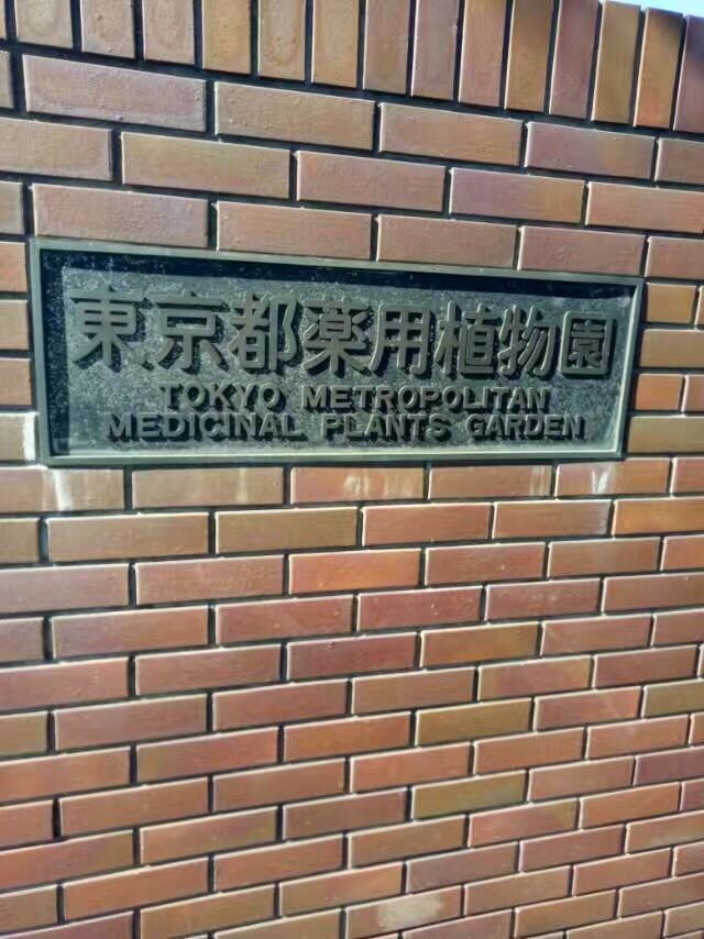 東京都薬用植物園景點 東京旅遊評論 旅行指南 Trip Com 東京都薬用植物園景點 東京旅遊評論 旅行指南 Trip Com