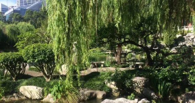 Chinese Garden Teahouse