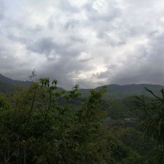 土家山莊張用戶圖片
