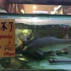 Bali Hai Seafood Market張用戶圖片