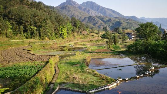 青田縣方山鄉龍現村是中國田魚村。&ldquo;見水養魚&rd