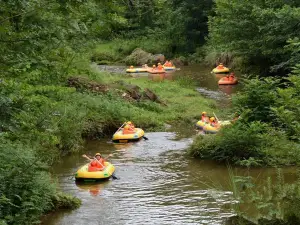 Dragon And Phoenix Gorge Drifting