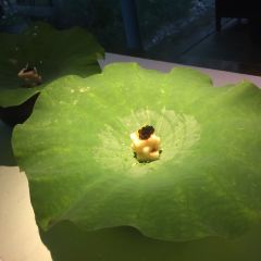 GUIYU RESTAURANT User Photo