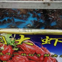 ZAO WANG TU CAI GUAN CHU WANG CHENG DIAN User Photo