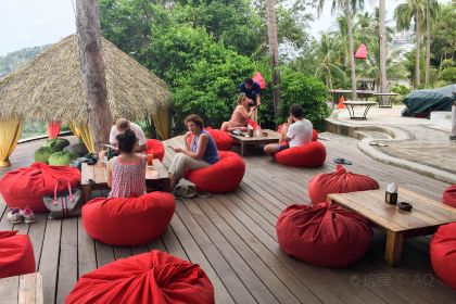 The Jungle Club Restaurant