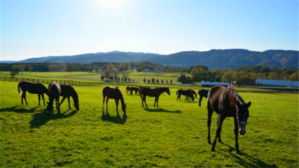 Picture of Big Red Farm