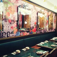 XIN BAI LU User Photo