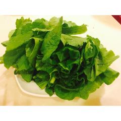Jingchuan Wild Mushrooms Restaurant User Photo