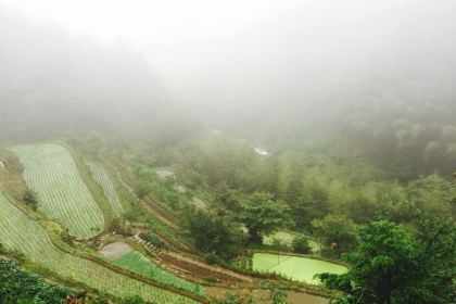 Lingshangrenjiawangfengloukaoquanyang