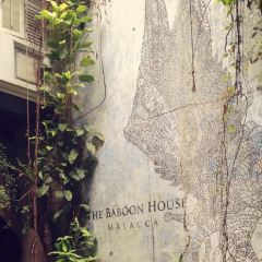 The Baboon House User Photo
