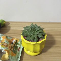 豪客来牛排(德辉广场0217店) User Photo