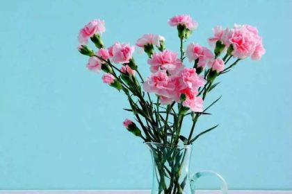 ZHENG XIN JI PAI MIN TAI DIAN