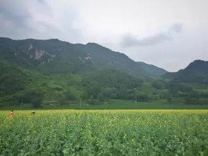 麦当劳(本溪永丰街华联店)