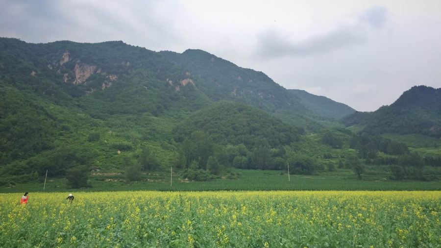 麦当劳(本溪永丰街华联店)