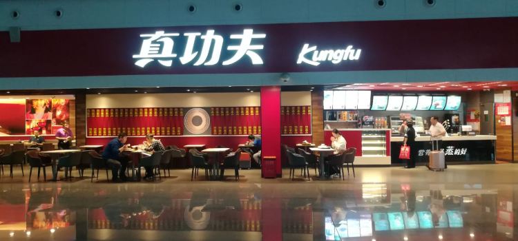 Nongzhuangzhenggongfu