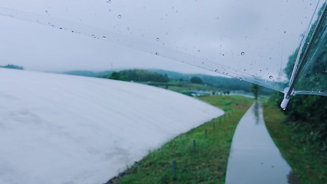 豐島美術館