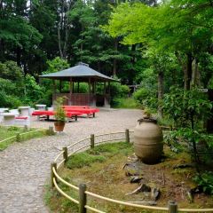 Kasuga Ninai Jyaya User Photo