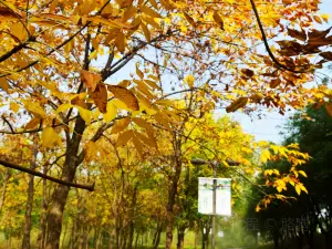 西安チャンバ国立湿地公園