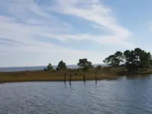 Lynn’s Quality Oysters