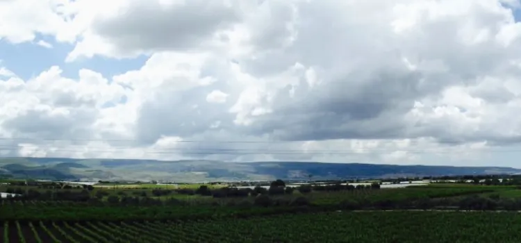 Azienda Agricola Mortilla