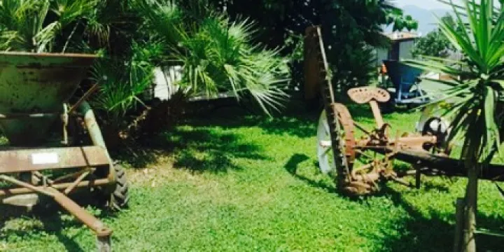 Azienda Agrituristica "Il Fontanone"