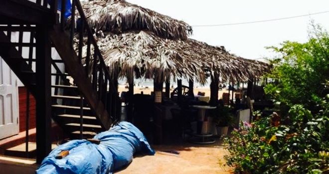 Flying Dolphin Beach Side Cafe & Bar with Tapas