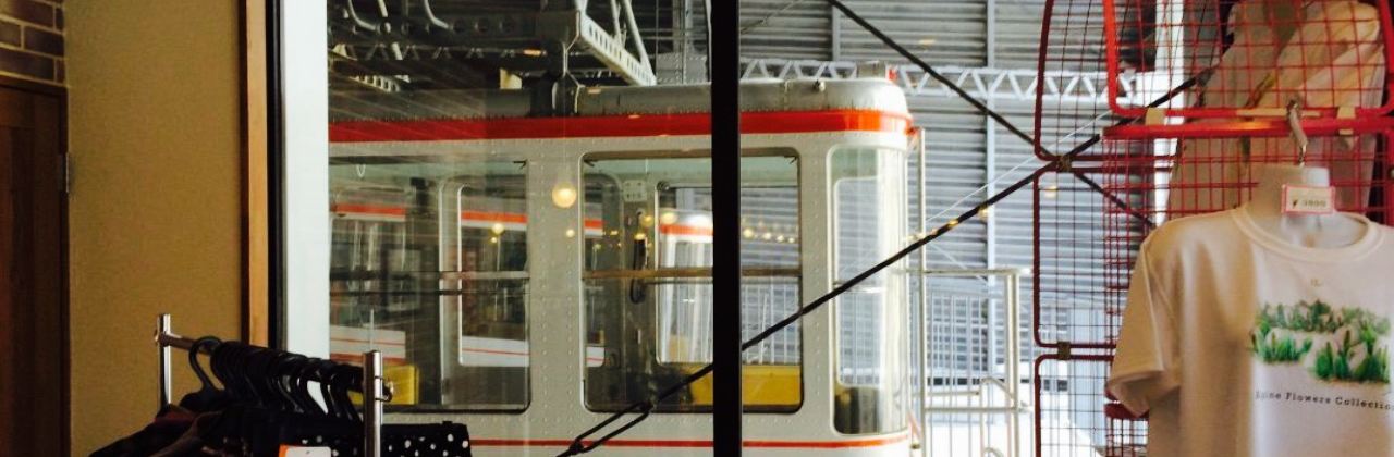 Hasuikeeki Dai Shokudo Restauranttsuga