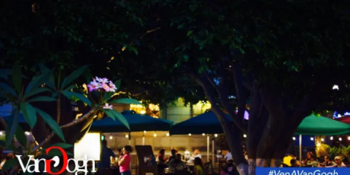 Van Gogh Restaurant Bar & Cafe