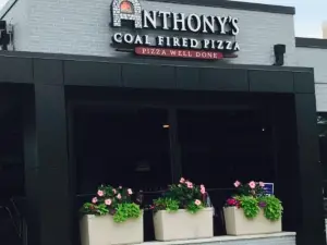 Anthony's Coal Fired Pizza