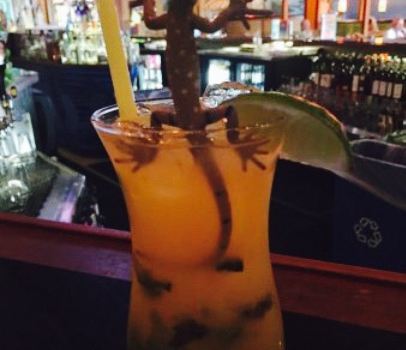 Jimmy's Island Grill & Iguana Bar