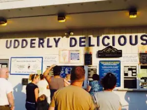 Udderly Delicious